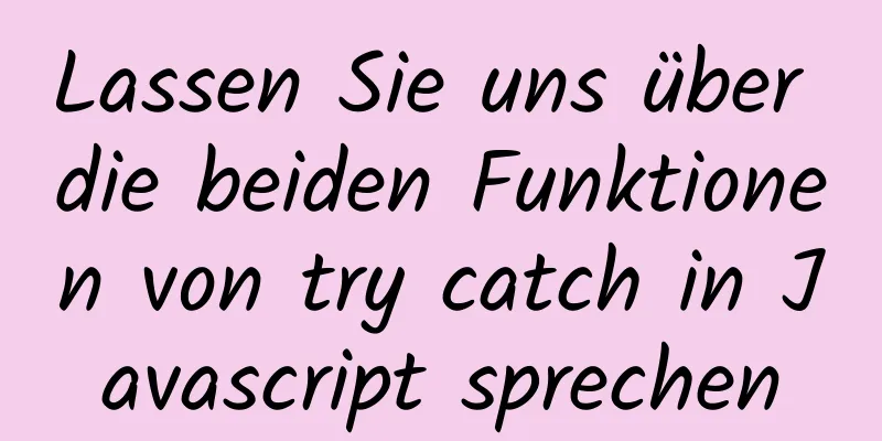 Lassen Sie uns über die beiden Funktionen von try catch in Javascript sprechen