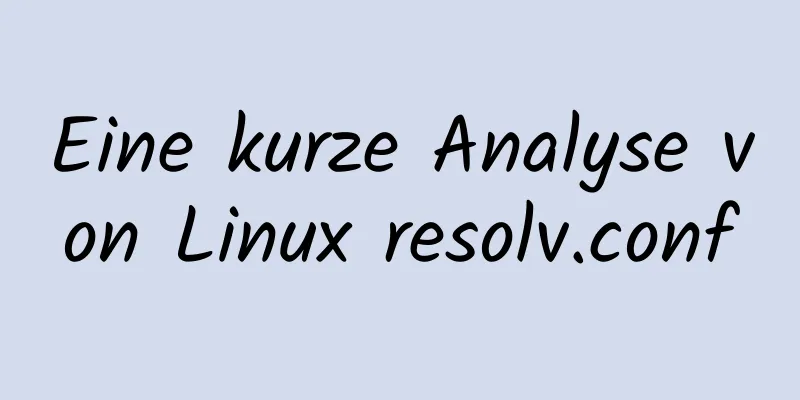 Eine kurze Analyse von Linux resolv.conf