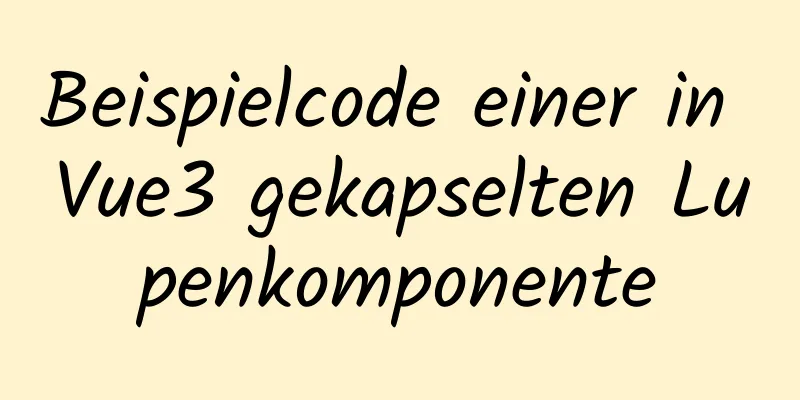 Beispielcode einer in Vue3 gekapselten Lupenkomponente