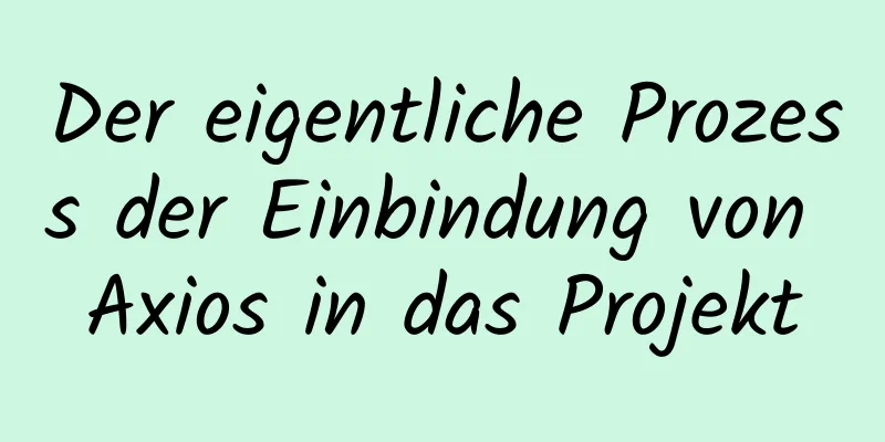 Der eigentliche Prozess der Einbindung von Axios in das Projekt