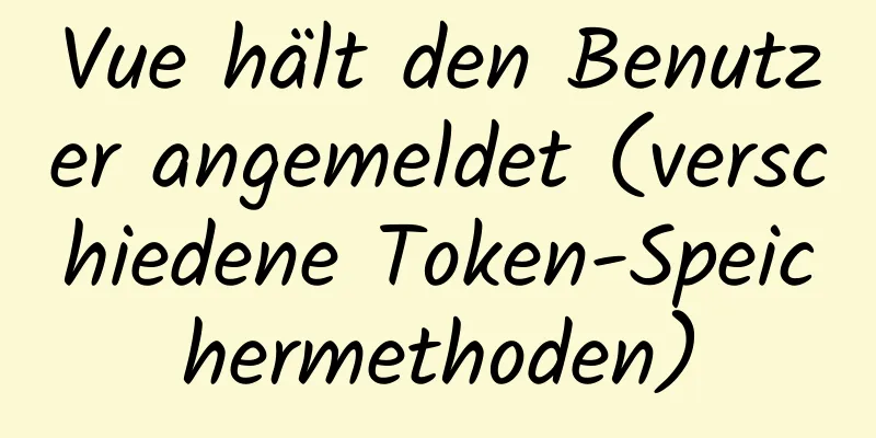 Vue hält den Benutzer angemeldet (verschiedene Token-Speichermethoden)