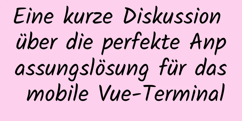 Eine kurze Diskussion über die perfekte Anpassungslösung für das mobile Vue-Terminal