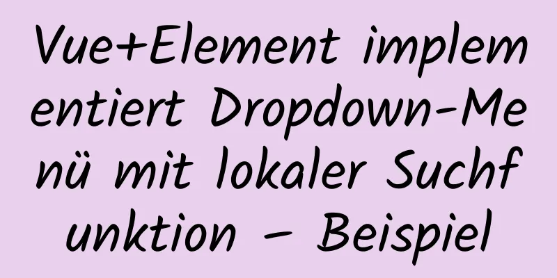 Vue+Element implementiert Dropdown-Menü mit lokaler Suchfunktion – Beispiel