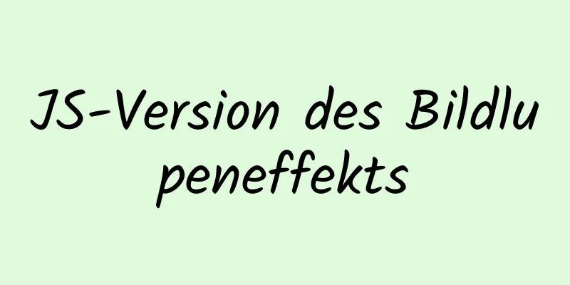 JS-Version des Bildlupeneffekts