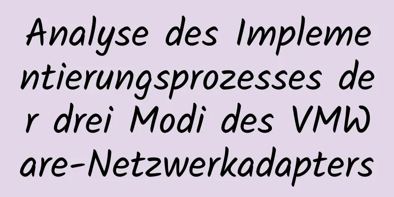 Analyse des Implementierungsprozesses der drei Modi des VMWare-Netzwerkadapters