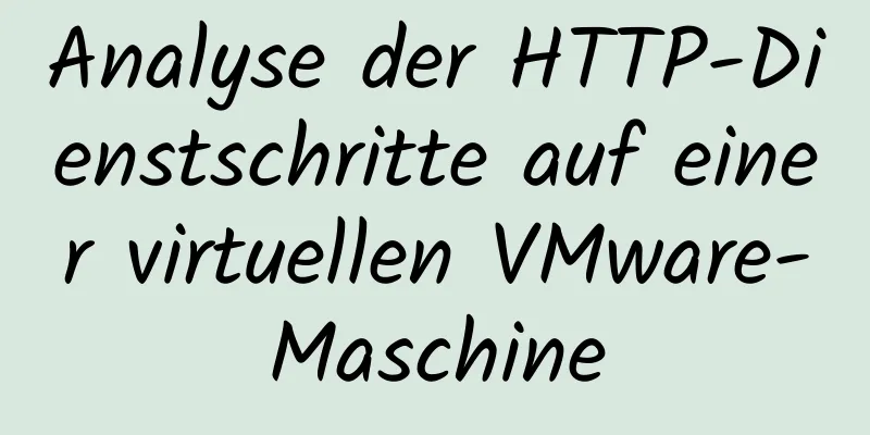 Analyse der HTTP-Dienstschritte auf einer virtuellen VMware-Maschine