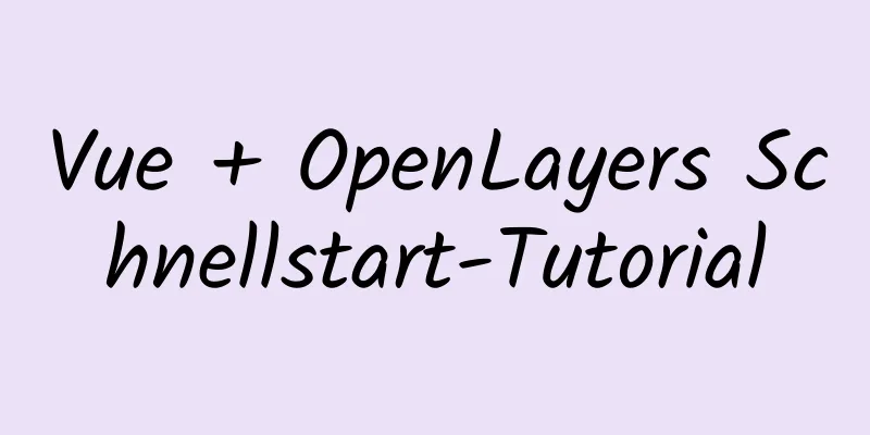 Vue + OpenLayers Schnellstart-Tutorial