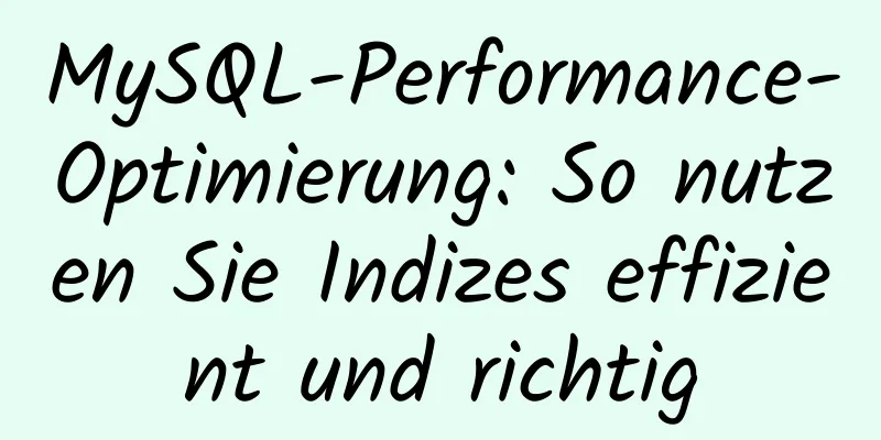 MySQL-Performance-Optimierung: So nutzen Sie Indizes effizient und richtig