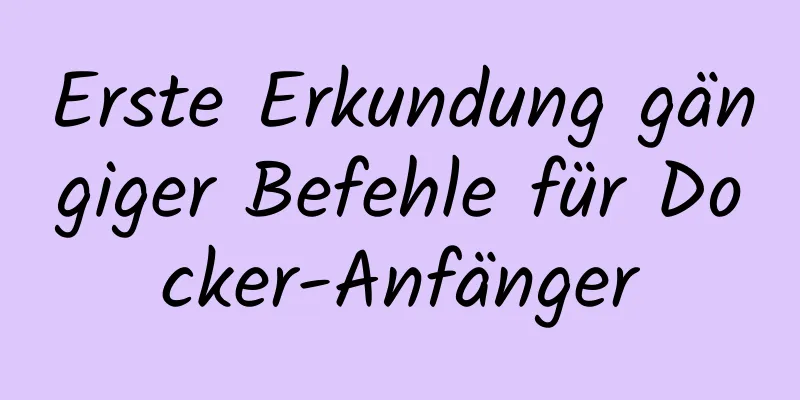 Erste Erkundung gängiger Befehle für Docker-Anfänger