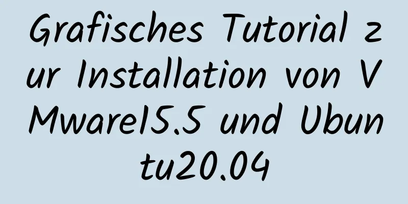 Grafisches Tutorial zur Installation von VMware15.5 und Ubuntu20.04