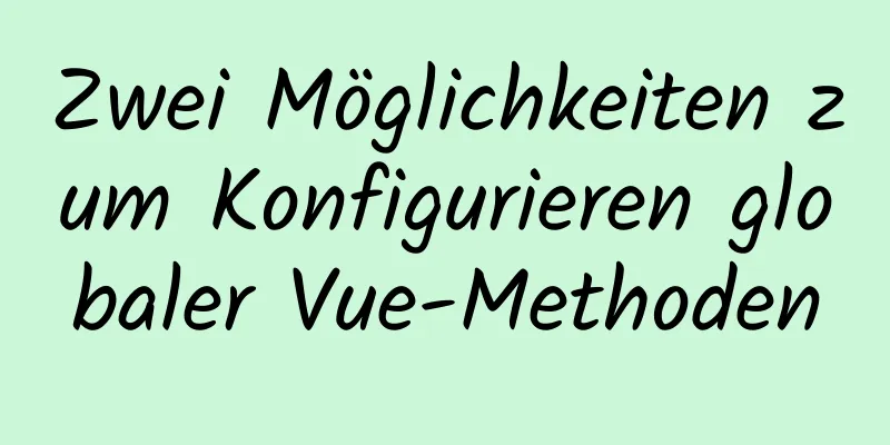 Zwei Möglichkeiten zum Konfigurieren globaler Vue-Methoden