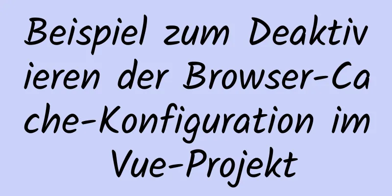 Beispiel zum Deaktivieren der Browser-Cache-Konfiguration im Vue-Projekt