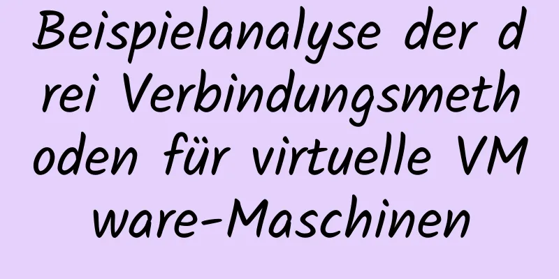 Beispielanalyse der drei Verbindungsmethoden für virtuelle VMware-Maschinen