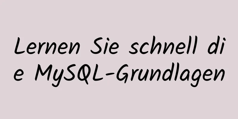 Lernen Sie schnell die MySQL-Grundlagen