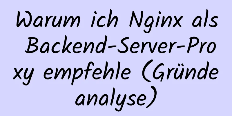 Warum ich Nginx als Backend-Server-Proxy empfehle (Gründeanalyse)