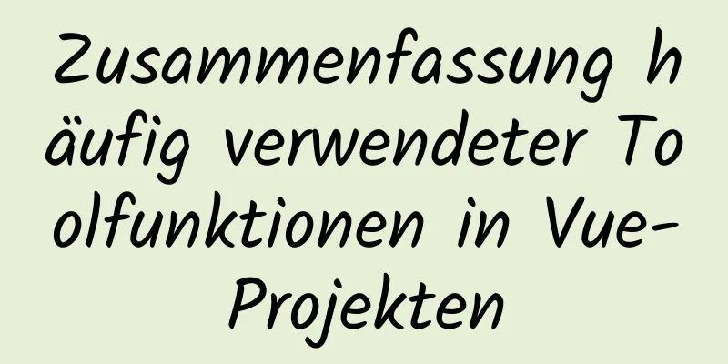 Zusammenfassung häufig verwendeter Toolfunktionen in Vue-Projekten