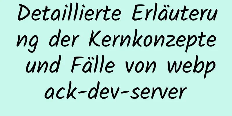 Detaillierte Erläuterung der Kernkonzepte und Fälle von webpack-dev-server