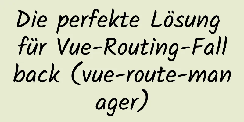 Die perfekte Lösung für Vue-Routing-Fallback (vue-route-manager)