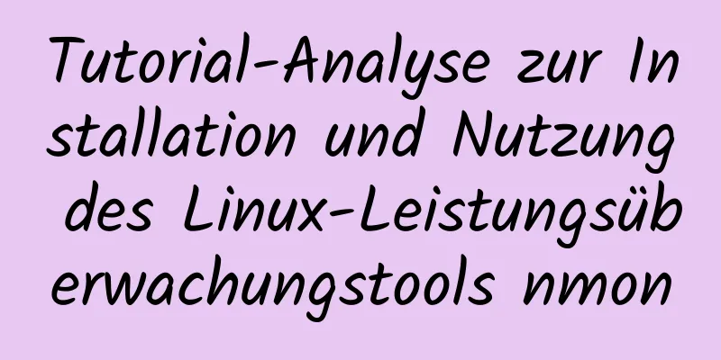 Tutorial-Analyse zur Installation und Nutzung des Linux-Leistungsüberwachungstools nmon