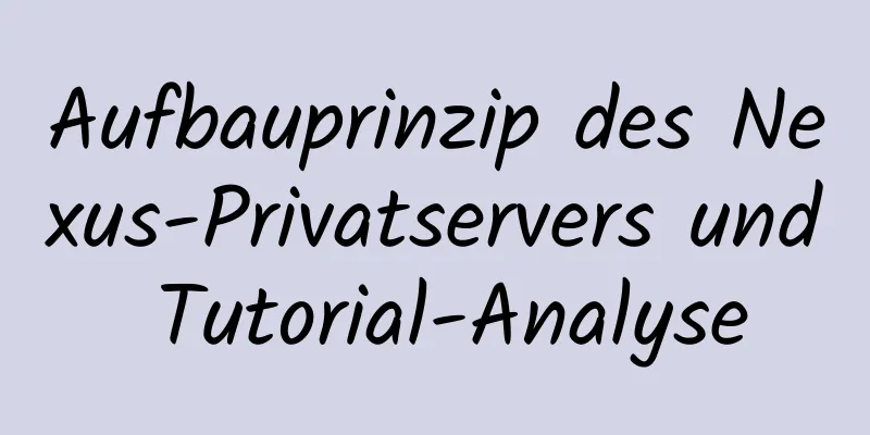 Aufbauprinzip des Nexus-Privatservers und Tutorial-Analyse