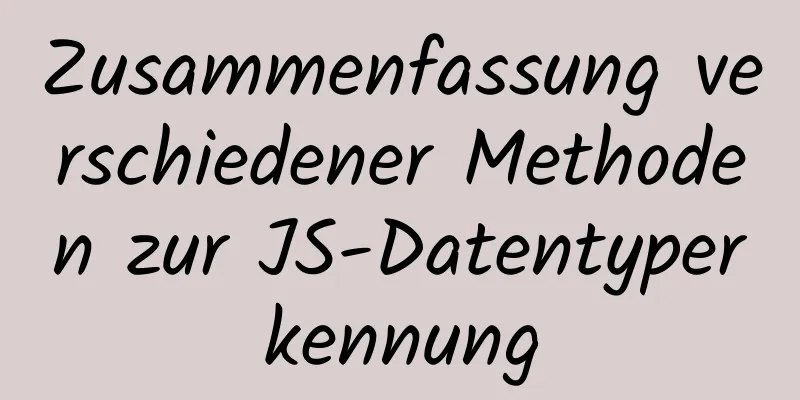 Zusammenfassung verschiedener Methoden zur JS-Datentyperkennung