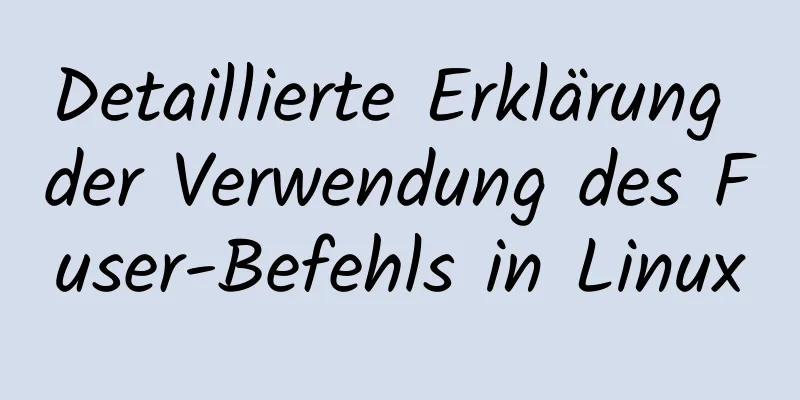 Detaillierte Erklärung der Verwendung des Fuser-Befehls in Linux