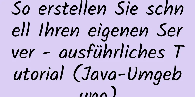 So erstellen Sie schnell Ihren eigenen Server - ausführliches Tutorial (Java-Umgebung)