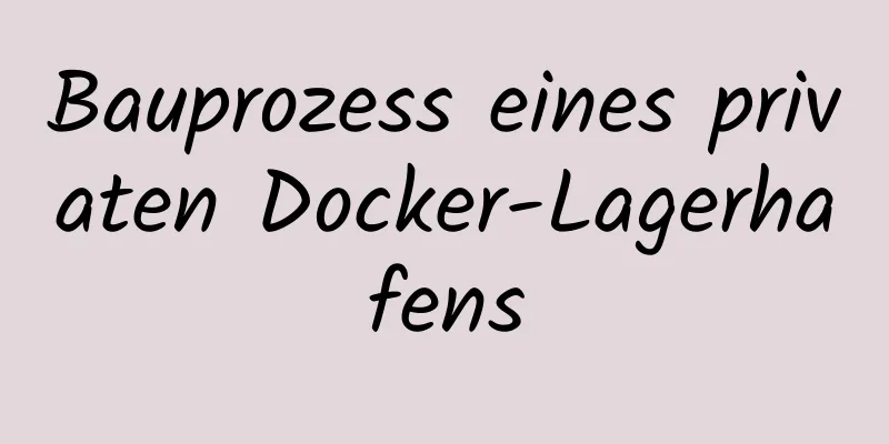 Bauprozess eines privaten Docker-Lagerhafens