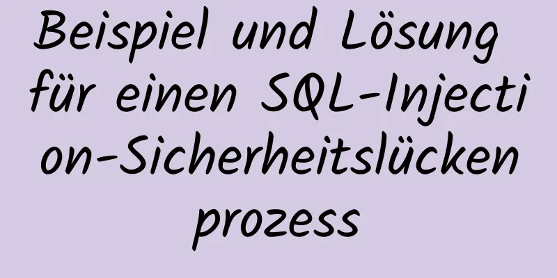 Beispiel und Lösung für einen SQL-Injection-Sicherheitslückenprozess