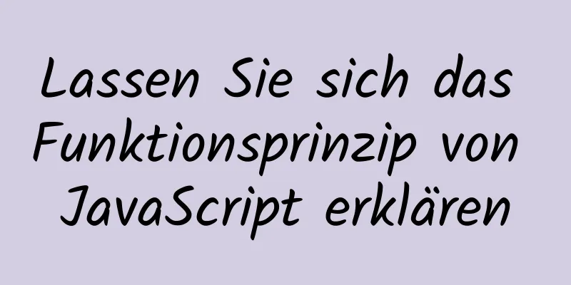 Lassen Sie sich das Funktionsprinzip von JavaScript erklären