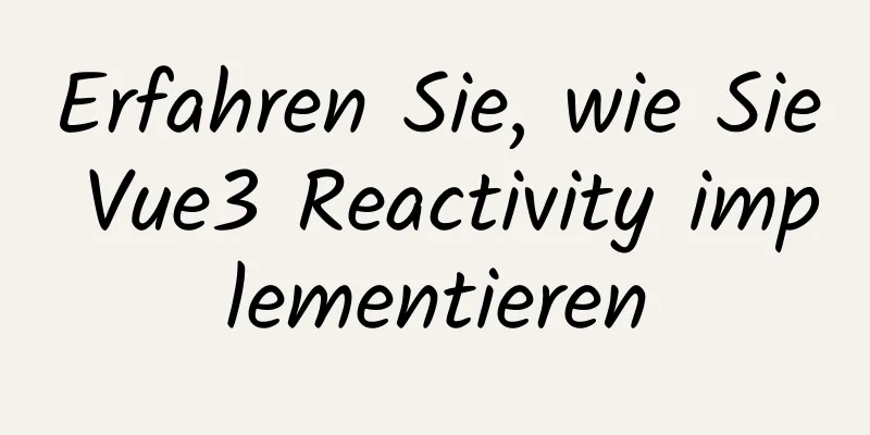 Erfahren Sie, wie Sie Vue3 Reactivity implementieren