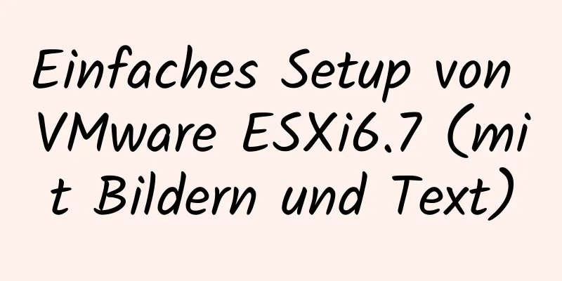 Einfaches Setup von VMware ESXi6.7 (mit Bildern und Text)