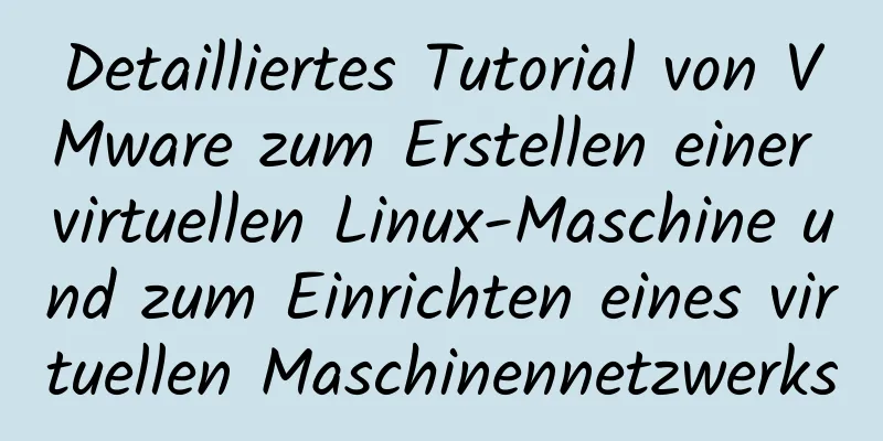 Detailliertes Tutorial von VMware zum Erstellen einer virtuellen Linux-Maschine und zum Einrichten eines virtuellen Maschinennetzwerks