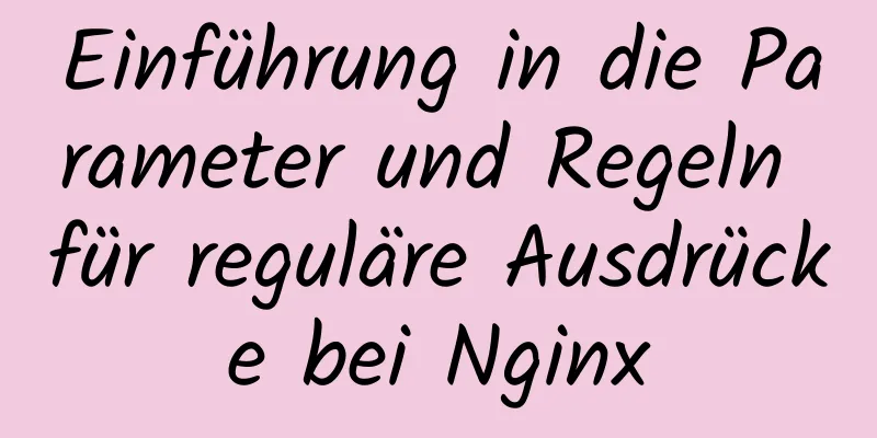 Einführung in die Parameter und Regeln für reguläre Ausdrücke bei Nginx