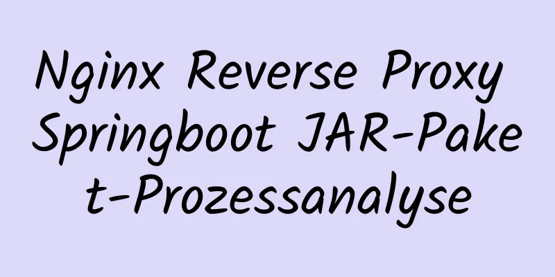 Nginx Reverse Proxy Springboot JAR-Paket-Prozessanalyse