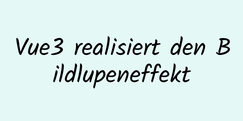 Vue3 realisiert den Bildlupeneffekt