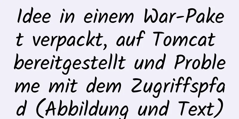 Idee in einem War-Paket verpackt, auf Tomcat bereitgestellt und Probleme mit dem Zugriffspfad (Abbildung und Text)