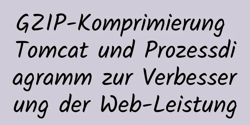 GZIP-Komprimierung Tomcat und Prozessdiagramm zur Verbesserung der Web-Leistung