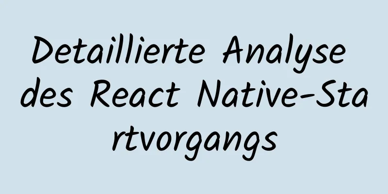 Detaillierte Analyse des React Native-Startvorgangs