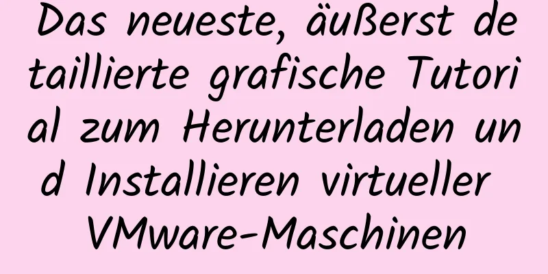 Das neueste, äußerst detaillierte grafische Tutorial zum Herunterladen und Installieren virtueller VMware-Maschinen