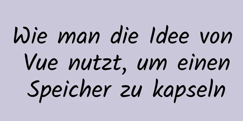 Wie man die Idee von Vue nutzt, um einen Speicher zu kapseln