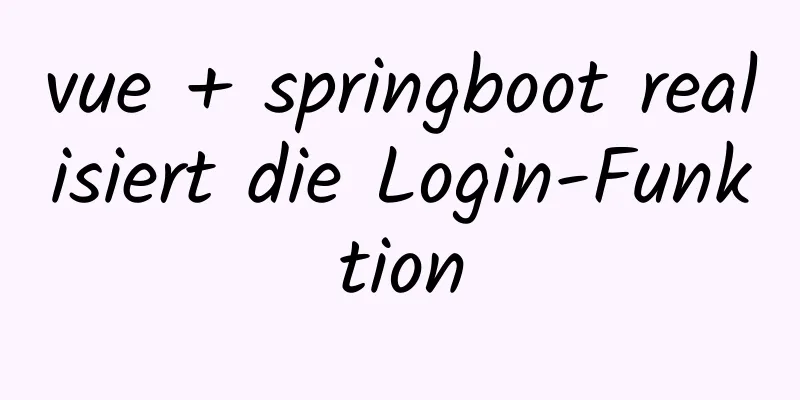 vue + springboot realisiert die Login-Funktion