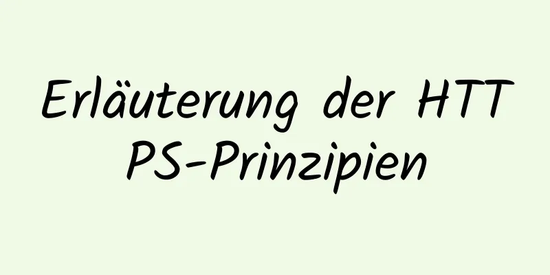 Erläuterung der HTTPS-Prinzipien