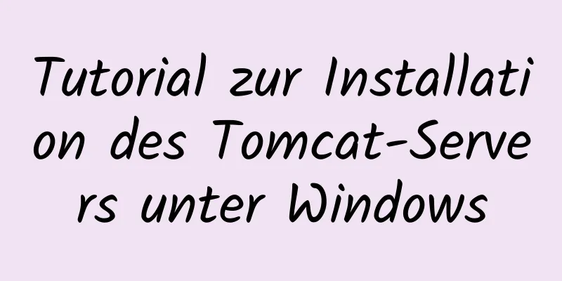 Tutorial zur Installation des Tomcat-Servers unter Windows