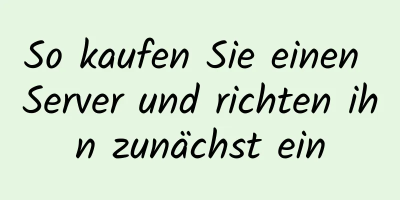 So kaufen Sie einen Server und richten ihn zunächst ein