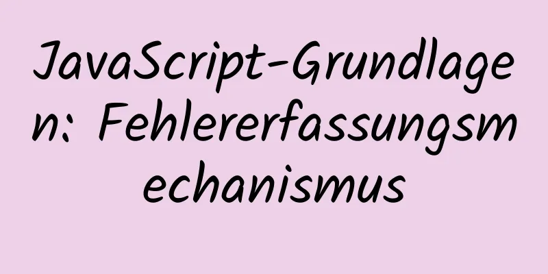 JavaScript-Grundlagen: Fehlererfassungsmechanismus