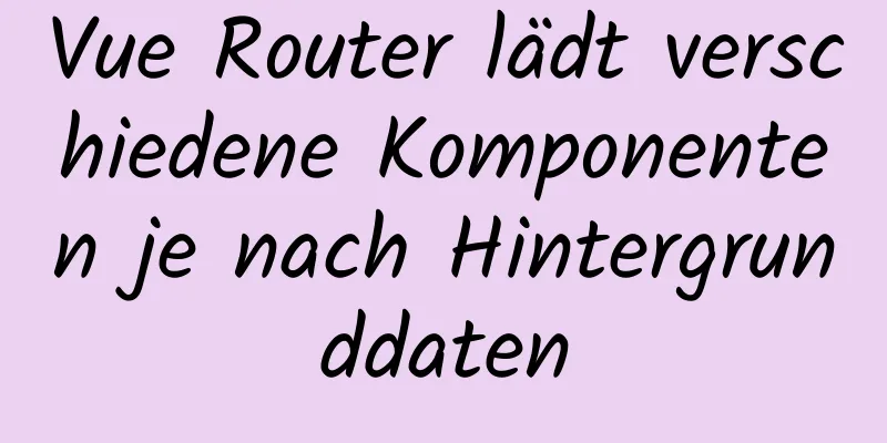 Vue Router lädt verschiedene Komponenten je nach Hintergrunddaten