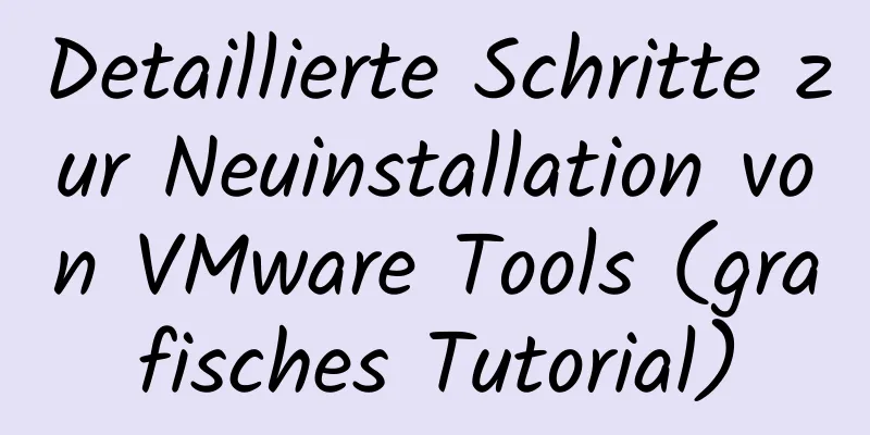 Detaillierte Schritte zur Neuinstallation von VMware Tools (grafisches Tutorial)