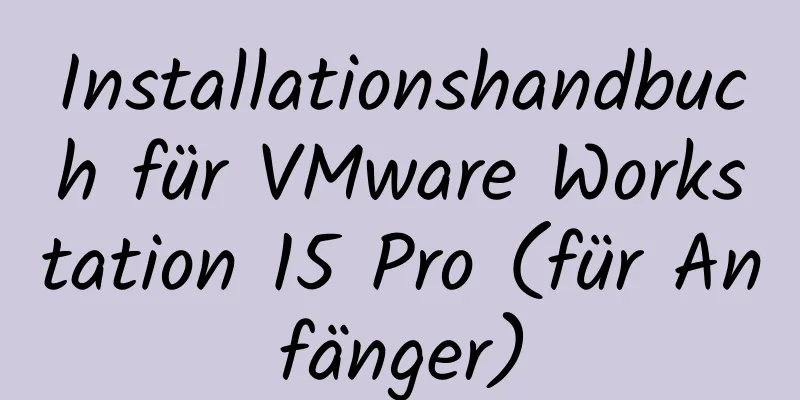 Installationshandbuch für VMware Workstation 15 Pro (für Anfänger)