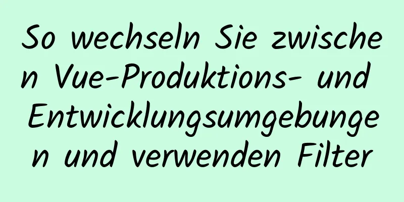 So wechseln Sie zwischen Vue-Produktions- und Entwicklungsumgebungen und verwenden Filter